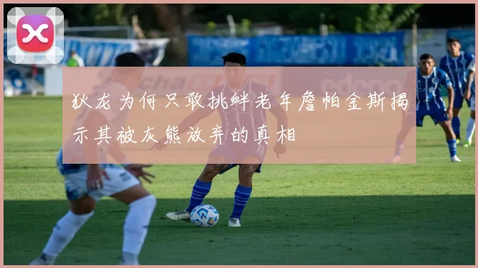 狄龙为何只敢挑衅老年詹帕金斯揭示其被灰熊放弃的真相