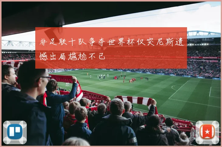 非足联十队争夺世界杯仅突尼斯遗憾出局尴尬不已